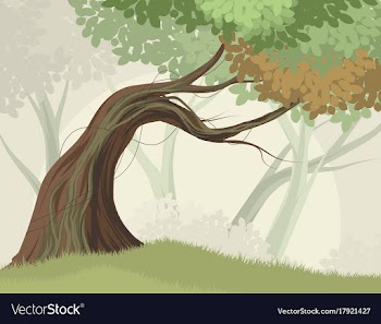Tree and forest scene vector image