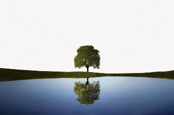 Tree and lake reflection border | Free PSD - rawpixel