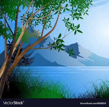 Tree and river scene vector image