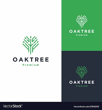 Tree and root logo icon vector image