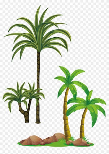 Tree Arecaceae Clip Art - Tree