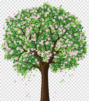Tree Arecaceae Drawing , tree transparent background PNG clipart