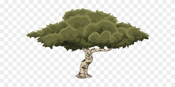 Tree Art Artwork Trunk Cartoon Nature Leav - Arbol Ilustracion Png