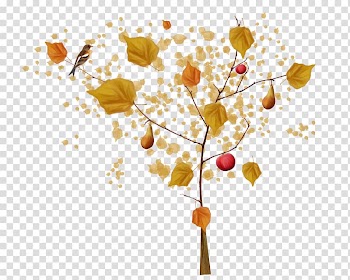 Tree Autumn, Autumn Tree transparent background PNG clipart