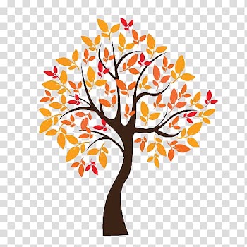 Tree Autumn, Autumn tree transparent background PNG clipart