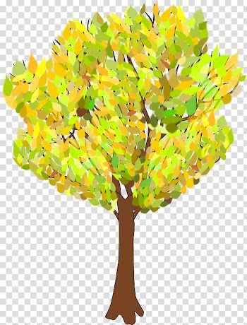 Tree Autumn Branch , autumn transparent background PNG clipart