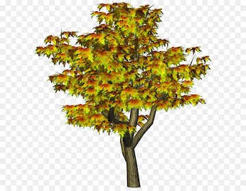 Tree Autumn Clip art - Autumn Tree PNG Tree Clipart 