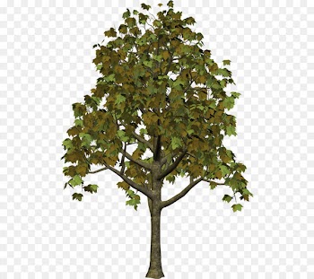 Tree Autumn Clip art - Tree Clipart 