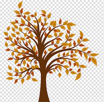 Tree Autumn , Fall Tree sr transparent background PNG clipart
