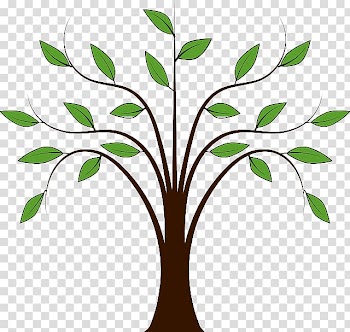 Tree , autumn forest transparent background PNG clipart