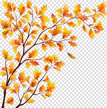 Tree Autumn Leaf, autumn branches transparent background PNG clipart