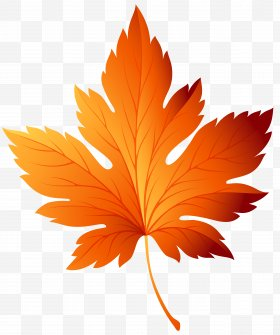 Tree Autumn Leaf Color Clip Art, PNG, 1979x1484px, Tree, Autumn ...