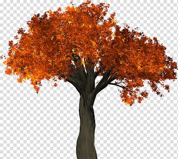 Tree Autumn leaf color Trunk, falling transparent background PNG clipart