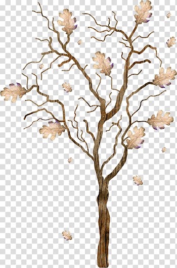 Tree Autumn , tree transparent background PNG clipart
