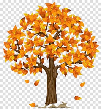 Tree Autumn , tree transparent background PNG clipart