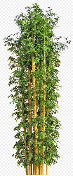 Tree Bamboo Flowerpot - tree 