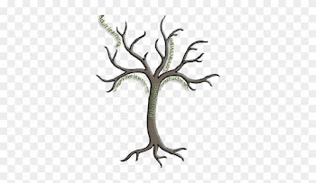 Tree - Bare Tree Clip Art