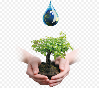 Tree Bonsai Business Company Waste oil - Valuing Water png ...
