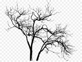 Tree Branch Fecal incontinence Feces - branches 