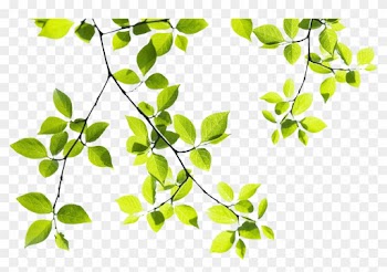 Tree Branch Landscape - Tree Branches Png Hd