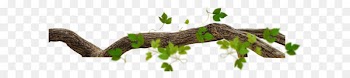 Tree Branch Leaf Twig - Branches leafy trees 