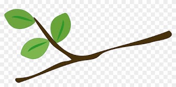Tree Branch Leaves Green Branches Leaf - Rama De Un Arbol