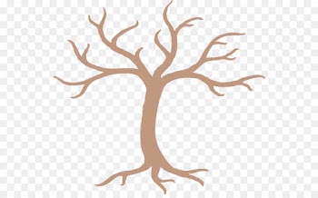 tree branch plant woody plant leaf
