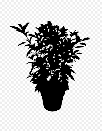 Tree Branch Silhouette png download - 910*1155 - Free Transparent ...