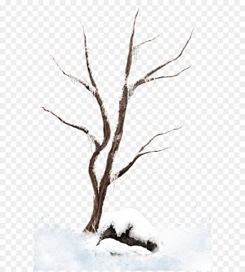 Tree Branch Snow Clip art - Brown Winter Snowy Tree PNG Clipart Picture 
