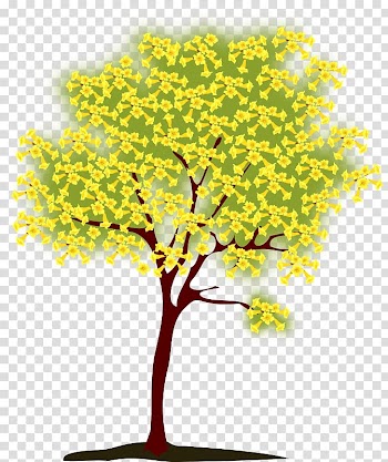 Tree Branch , tree transparent background PNG clipart
