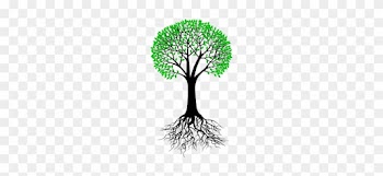 Tree Branch Vector Png About Us - Tree With Roots Vector
