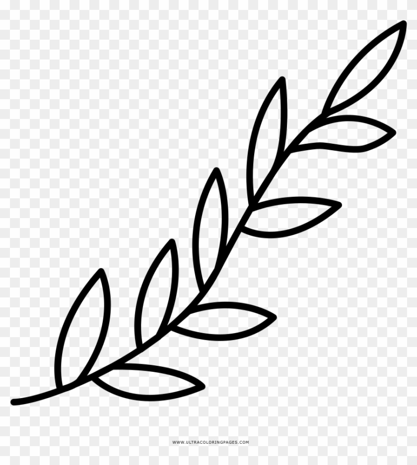 Tree Branch With Leaves Silhouette - Ramas De Hojas Para Colorear