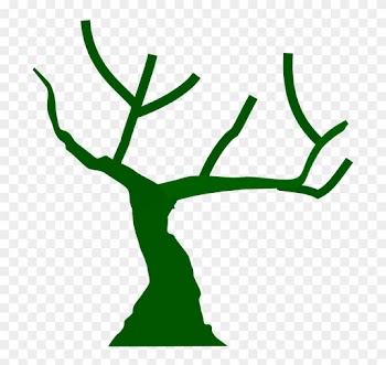 Tree Branches Bare Winter Abstract Green Nature - Tree With Branches Icon