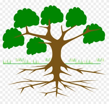 Tree Branches Root Eco Ecology Nature Plant - Environmental Movements In India
