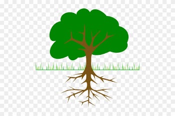 Tree, Branches, Root, Trunk, Planting - Tree Clip Art
