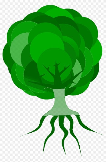 Tree, Branches, Roots, Skeleton, Plant, Leaves, Nature - Clip Art