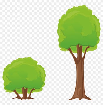 Tree Bush Clipart Nature Forest - Bäume Clipart