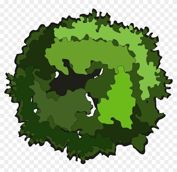 Tree Bush Cliparts Free Download Clip Art Free Clip - Trees Aerial View Png