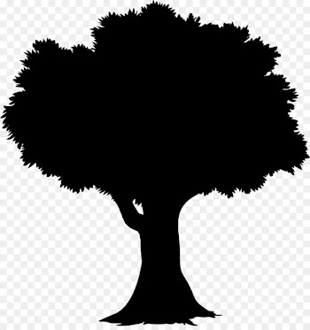 Tree Care Arborist Stump grinder Tree stump -  