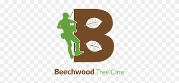 Tree Care Logo