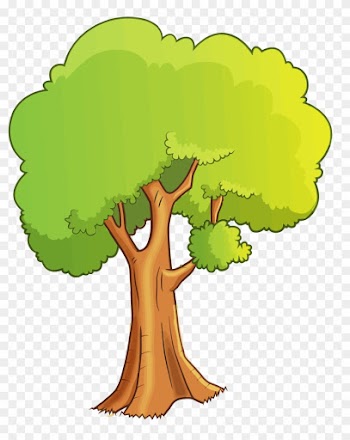 Tree Cartoon Drawing Clip Art - Clip Art Cartoon Tree