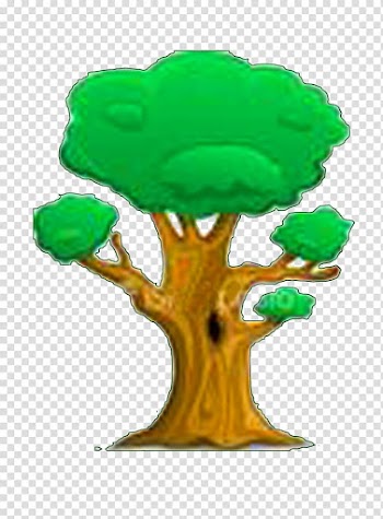 Tree Cartoon Drawing, tree transparent background PNG clipart