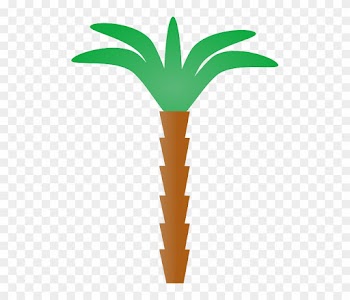 Tree, Cartoon, Plant, Florida, Coconut, Nature - Palm Tree Clip Art