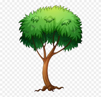Tree Cartoon Png