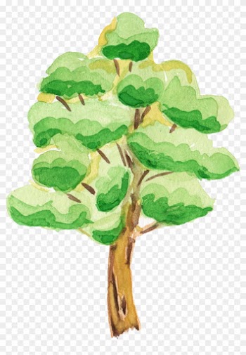 Tree Cartoon Png - Trees Forest Cartoon Transparent Background