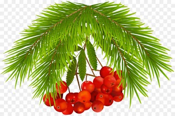 Tree Christmas Day Fruit Image Food - tree 