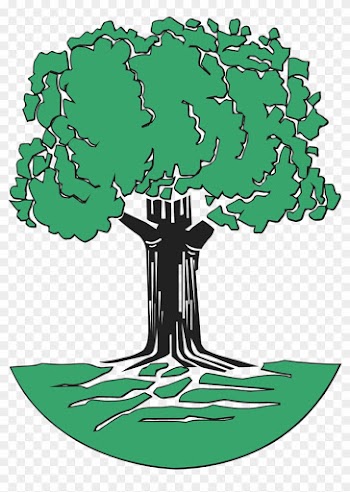 Tree Clip Art At Clipartimage - Oak Tree Clip Art