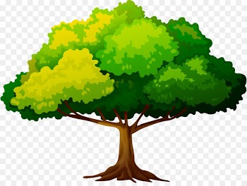 Tree Clip art Branch Trunk Leaf - tree 