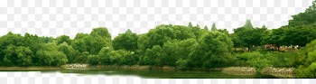 Tree Clip art - Mountains 