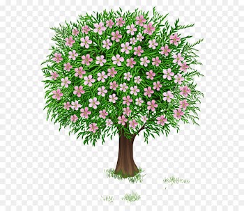 Tree Clip art - Spring Tree Transparent PNG Clipart Picture 